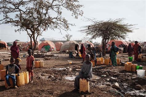 Sécheresse la famine menace 20 millions de personnes dans la Corne de