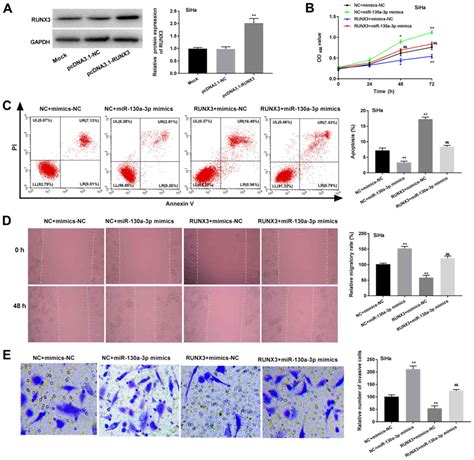 MicroRNA130a3p Promotes The Proliferation And Inhibits The Apoptosis