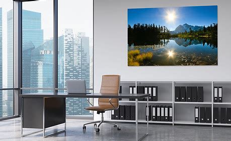 Unique Office Wall Art - Limited Edition Nature Artwork for Office