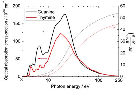 Qubs Free Full Text Optical Absorption Cross Section Of Dna Bases