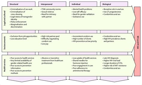 Conceptual Framework For Selected Factors Leading To Increased Hiv Download Scientific Diagram