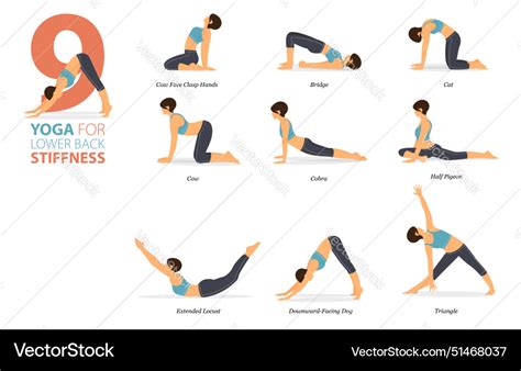 9 Yoga Pose For Workout In Back Stiffness Concept Vector Image