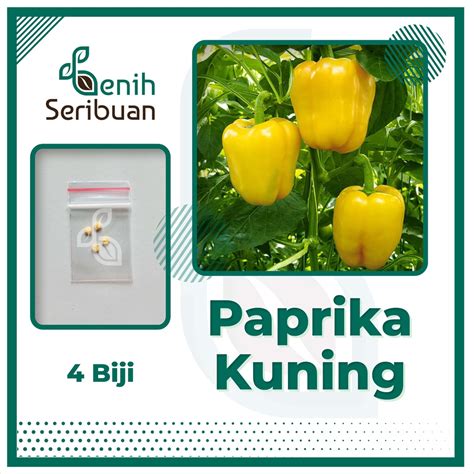 Jual 4 Biji Benih Paprika Kuning F1 Golden Star Sayuran Unggul Known