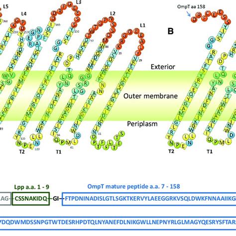 A Comparison Of Fluorescence Intensities Between Different Fractions Download Scientific