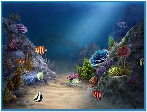 🔥 [50+] 3D Aquarium Wallpapers Free Download | WallpaperSafari