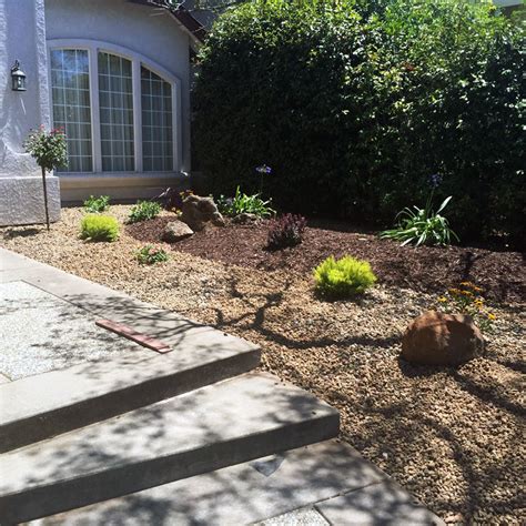 Drought Tolerant Landscaping Folsom And Sacramento