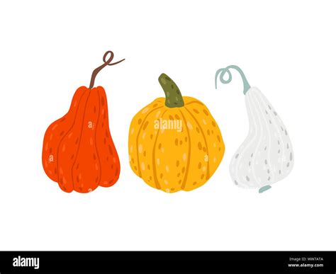 Conjunto De Calabazas Ilustraci N Vectorial En Chalet Estilo De