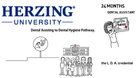 Dental Pathway Youtube