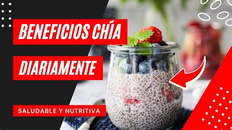 Come 1 Cucharada De ChÍa Todos Los DÍas Y Mira Lo Que Ocurre Con Tu Cuerpo Beneficios De A