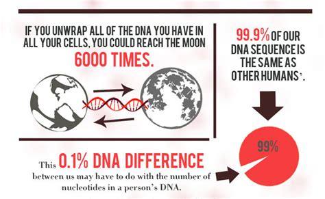 17 interesting facts about DNA - Alltop Viral