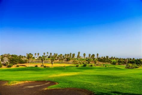 Panorama Of Golf Field Sea And Olives Stock Photo Rostislavv 13462537