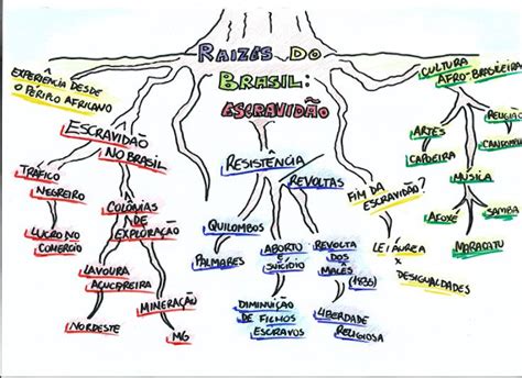 Hist Ria Net Ra Zes Do Brasil