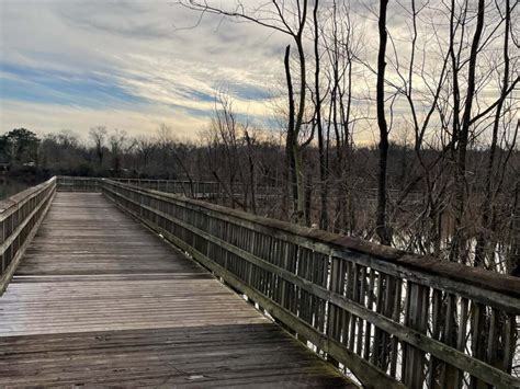 Crabtree Creek Trail System Triangle Bike Rentals