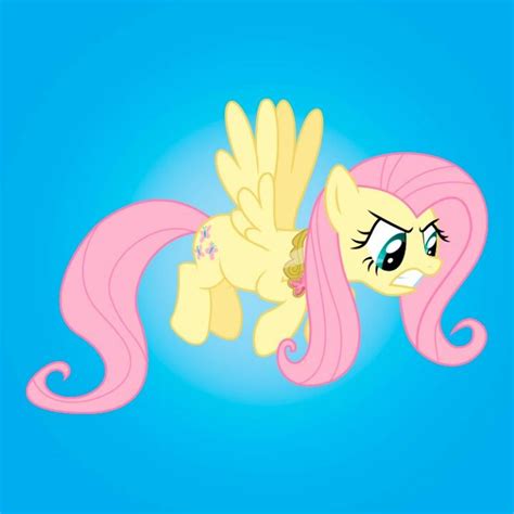 Fluttershy and " the stare " Mlp, Fluttershy, Photo Wall Collage, Ponies, Stare, Easy Drawings ...