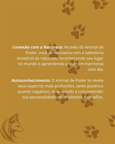 No Xamanismo Os Animais De Poder Desempenham Um Papel Importante Como