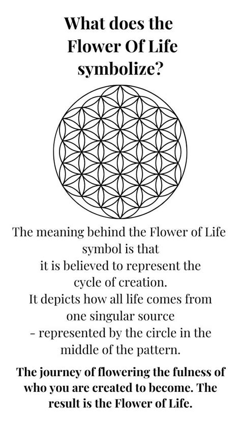 Flower Of Life Explained Best Flower Site