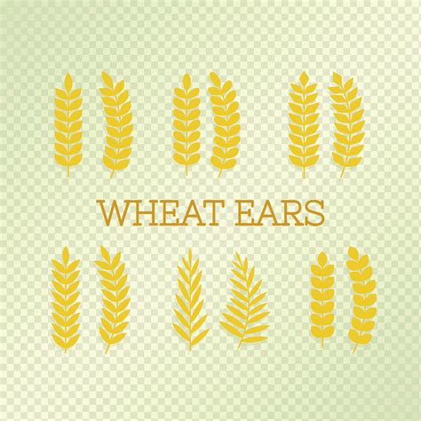 Wheat Ears Png Pngwing