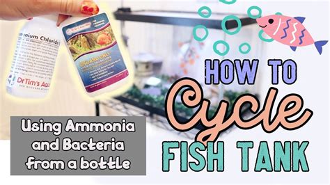 Cycling Fish Tank Easy Using Ammonia And Bacteria From Dr Tims