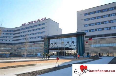 Bursa Ehir Hastanesi Ocuk Nefroloji Doktorlar Yorumlar