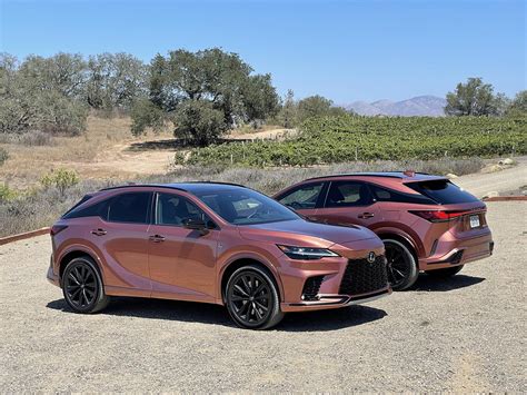 Lexus Rx 2024 Wymiary Daphne Robenia