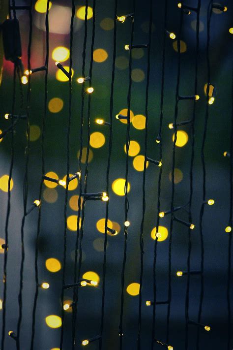 1366x768px 720p Free Download Glare Garland Boquet Bokeh