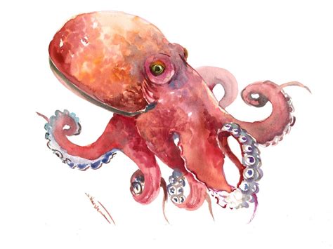 Watercolor Octopus Artwork, Original Art, Red and Coral Red Sea World ...