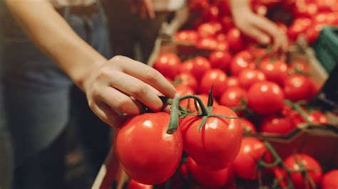 Tomato Storage Tips टोमॅटो दिर्घ काळ टिकवून ठेवायचेत मग फॉलो करा या सोप्या टिप्स