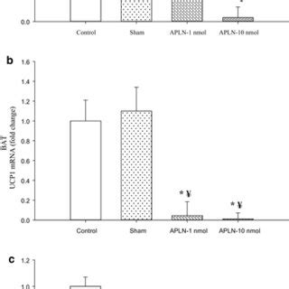 Effects Of Icv Apelin 13 Infusion On Hypothalamic TRH MRNA Expression