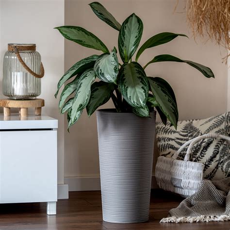 Donica Na Kwiaty D Uto Latina Cm Szara