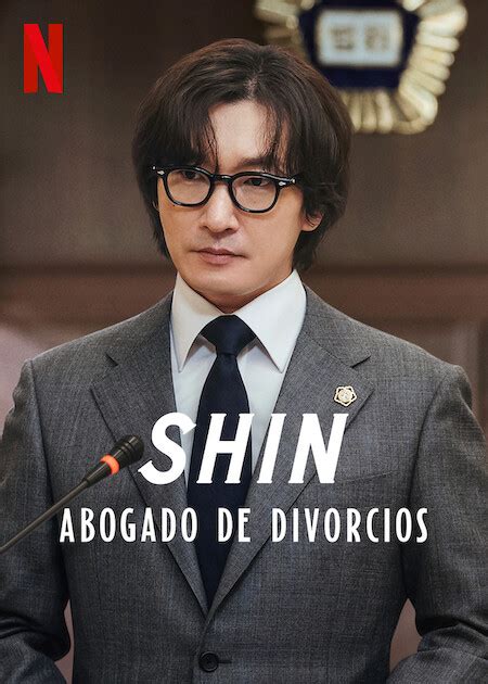 Ver Divorce Attorney Shin Sub Espa Ol Online Doramasflix