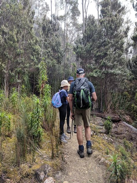 Walk On Kunanyi Offers A Range Of Half Day And Day Trips On Kunanyi Mt