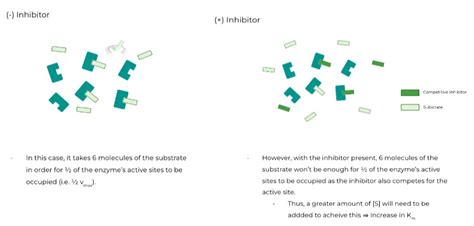 Enzyme Reversible Inhibition On The Mcat Mcat Mastery