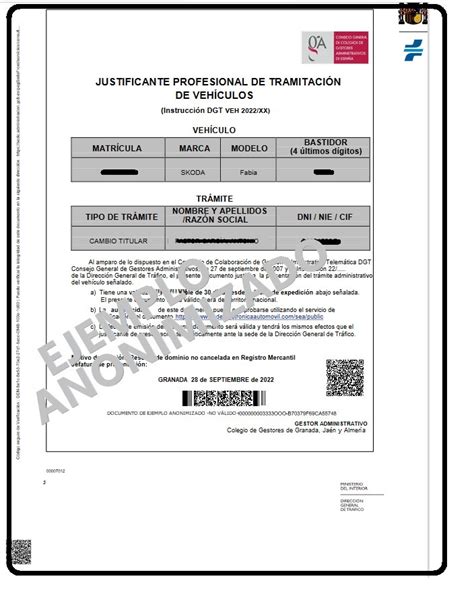 Gu A Completa Sobre El Justificante Profesional De Tramitaci N De