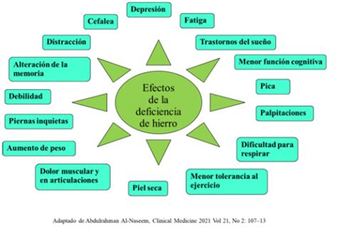 Deficiencia de hierro sin anemia un diagnóstico que importa