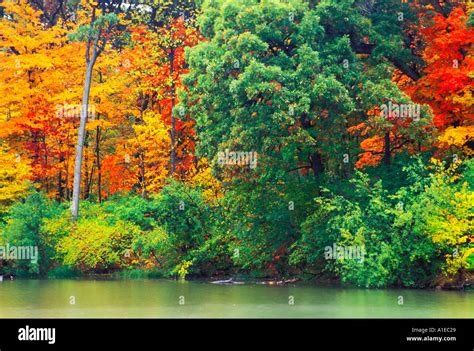 Chicago Fall Color Morton Arboretum Stock Photo Alamy