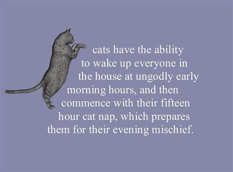 Cat Lady Quotes. QuotesGram