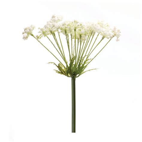 Queen Annes Lace Stem Set Of 2 Bed Bath And Beyond 39006815