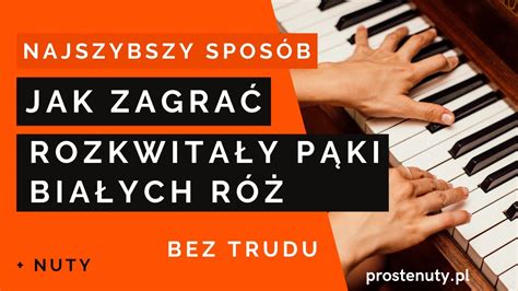 Jak zagrać Rozkwitały pąki białych róż na keyboardzie YouTube