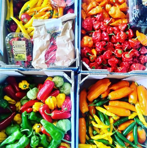 Introduction To Lactofermenting Hot Sauces Ferment Lab Fermenthings Open Source Wiki