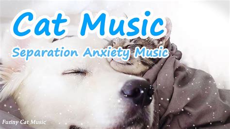 Cat Music💖 Relax Cat Calming Music💖separation Anxiety Relief💖cat Sleep