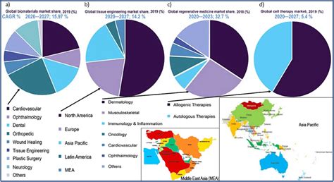 The Structure Of Global Markets Due To A The Use Of Biomaterials For