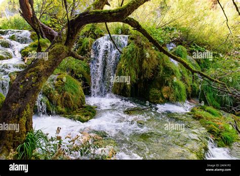 Cascades Wasserfälle im Nationalpark Plitvicer Seen Plitvička Jezera