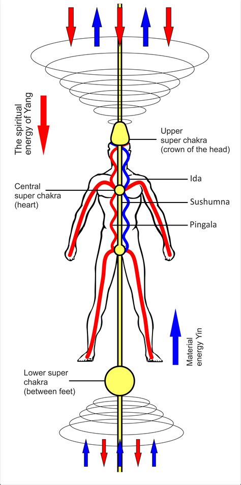 Body Meridians Ida Pingala Sushumna Odin