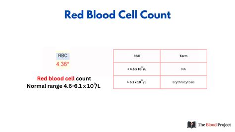 Rbc Count • The Blood Project