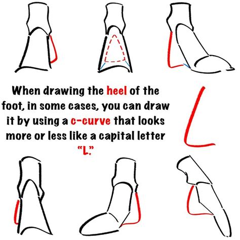 Pin By Inky NIMBUS On Anatomy Anatomy Reference Anatomy Tutorial