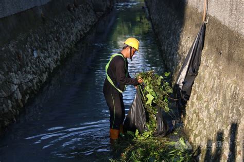 颱風璨樹來襲 高雄市持續清疏、農民適時採收 地方 中央社 Cna