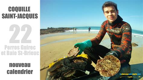 Les nouveaux calendriers de pêche aux coquilles Saint Jacques sur les