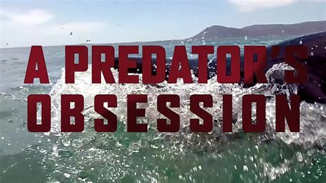 Stalker S Prey A Predator S Obsession Trailer Imdb