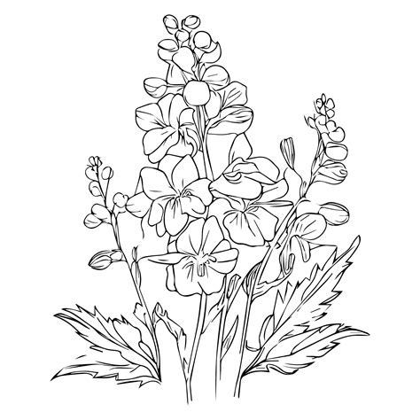 Premium Vector Pencil Delphinium Drawing July Birth Flower Larkspur