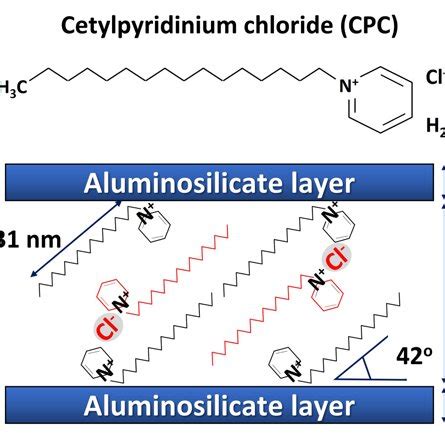 Schematic structure of cetylpyridinium chloride (CPC)-incorporated ...